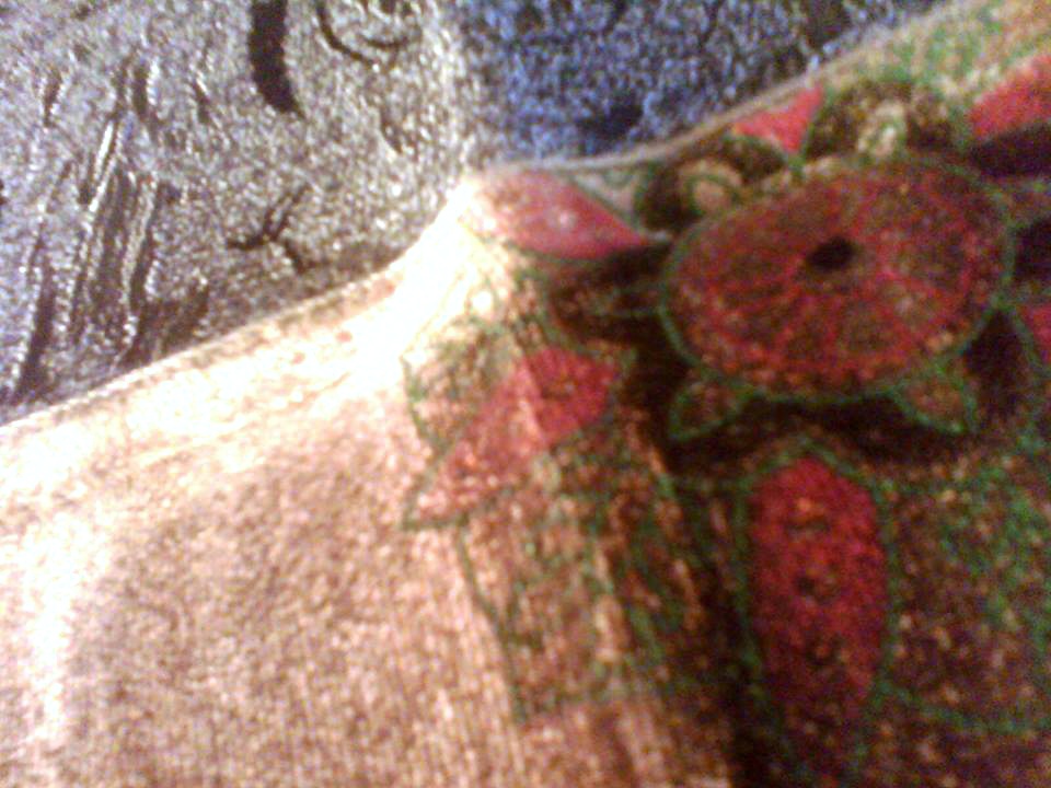 Peixe III — (Detalhe) — Fabio Crisanti